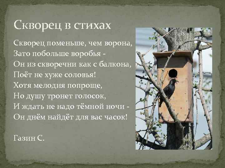 Анализ стихотворения заболоцкого уступи мне, скворец, уголок