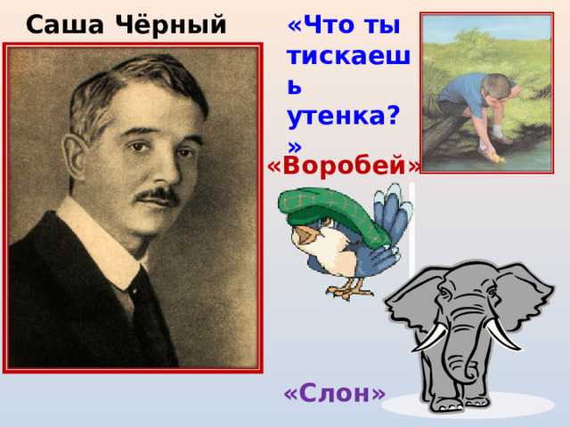 Понемногу: ответы к стихотворению с. черного "что ты тискаешь утёнка" для 3 класса.