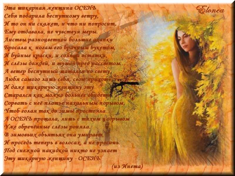 Лучшие русские поэты и стихи. главная страница