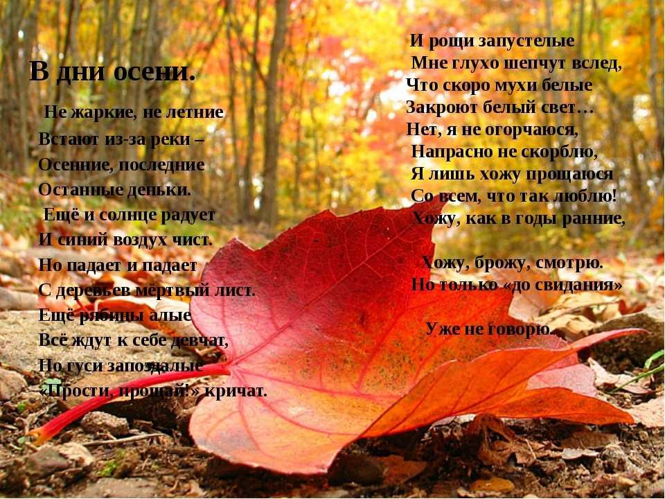 Стихи блока краткое содержание