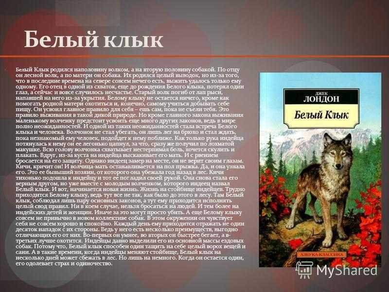 Читательский дневник «белый клык» джека лондона