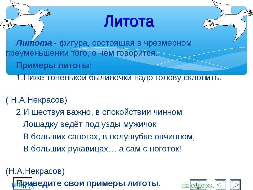 Литота эпифора