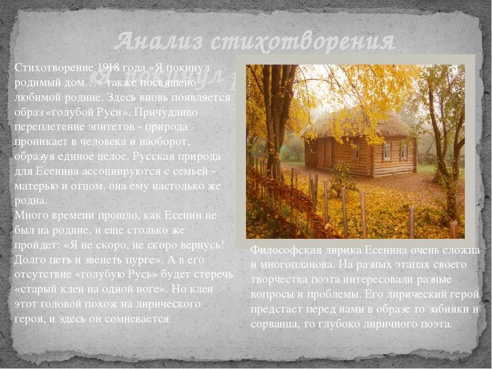 Лучшие стихи есенина