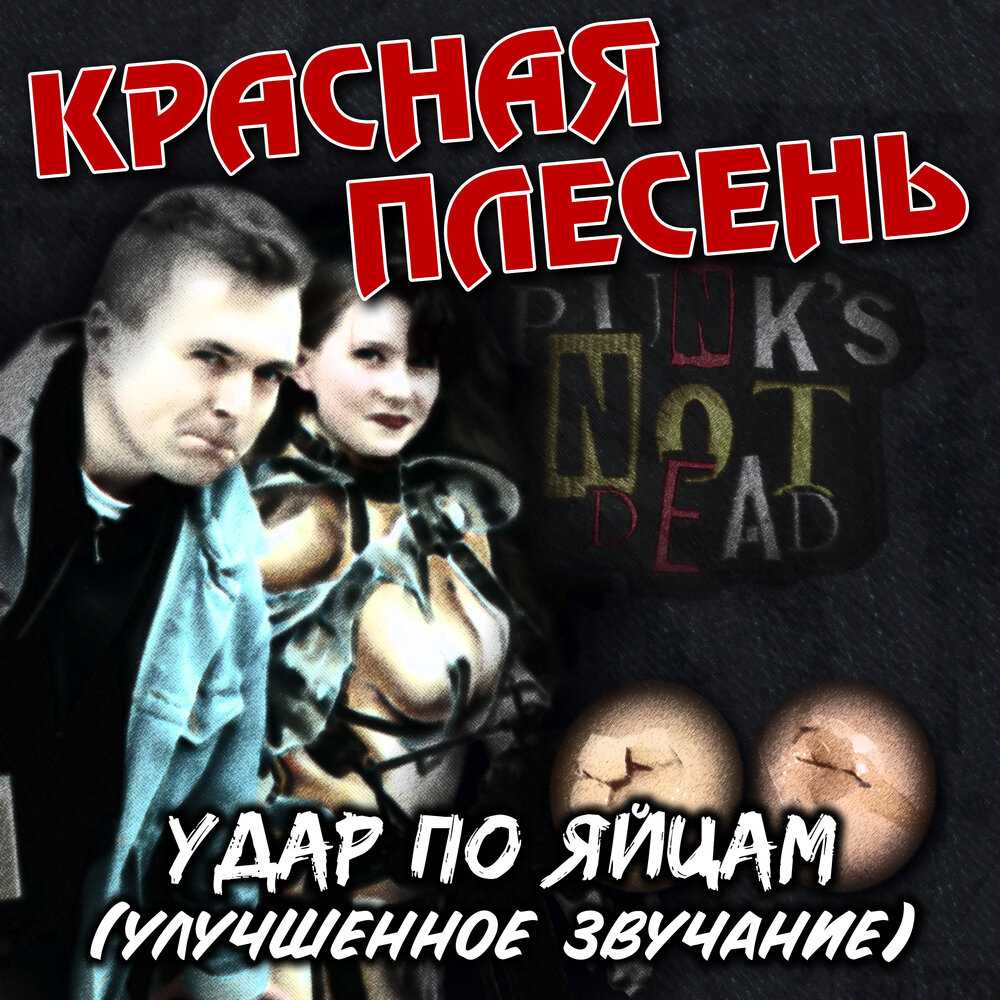 Текст песни красная плесень - по реке плывёт кирпич на сайте rus-songs.ru