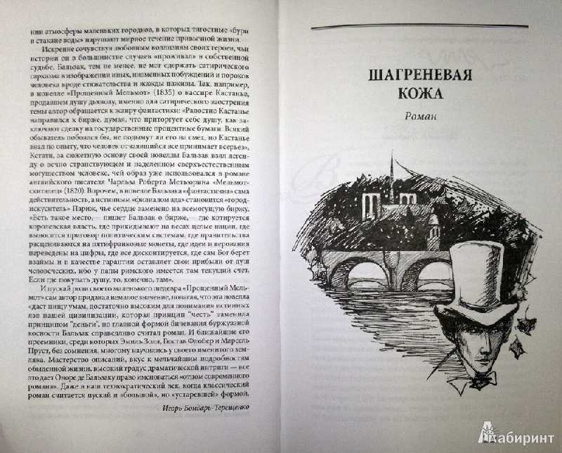 Бальзак шагреневая кожа анализ. шагреневая кожа