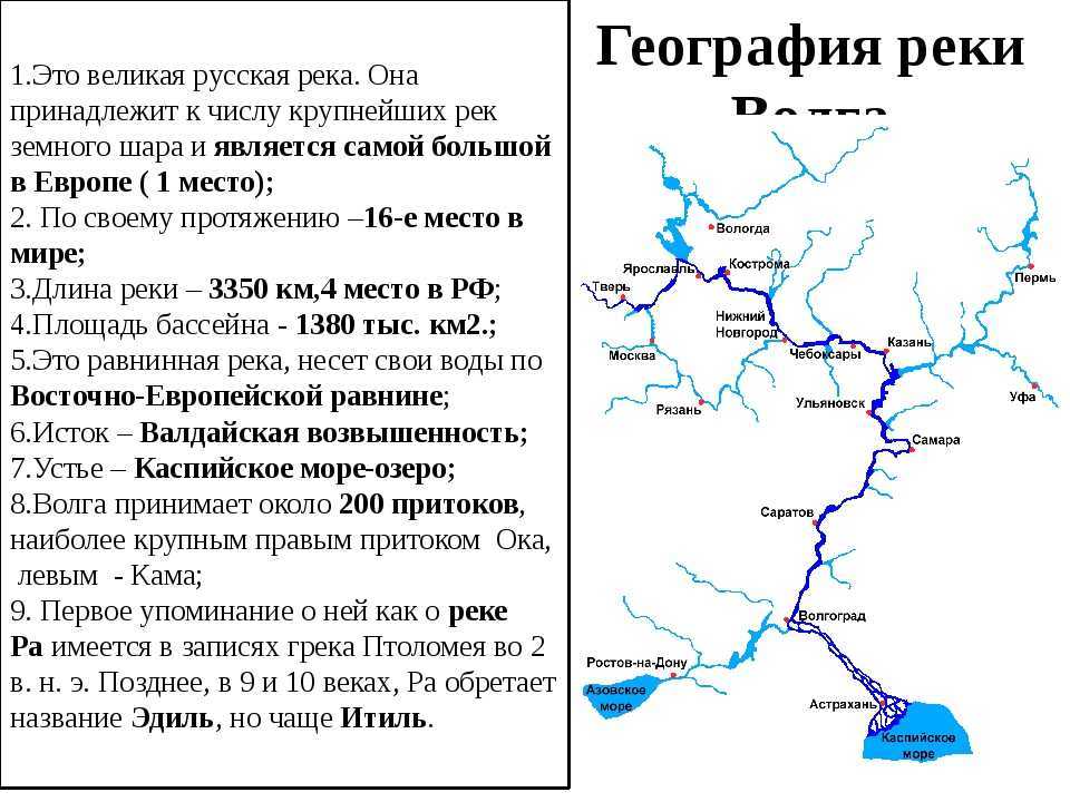 Город расположился на берегу одноимённой реки, недалеко от того места, она впадает в Дон Он возник благодаря Петру Первому Там были судостроительные верфи У нас проживает более 1 млн человек Скоро будут строить метро