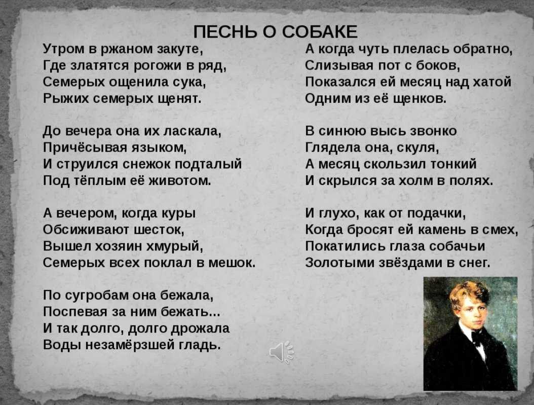 песнь о собаке» сергей есенин: читать текст, анализ стихотворения