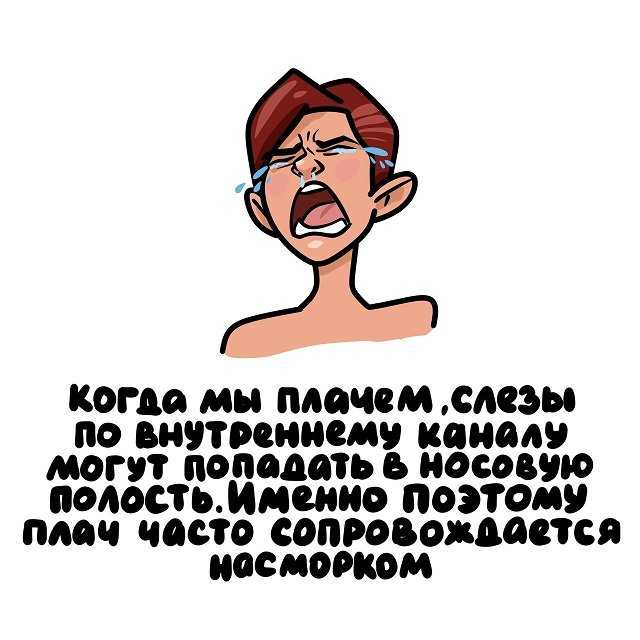 Александр попов