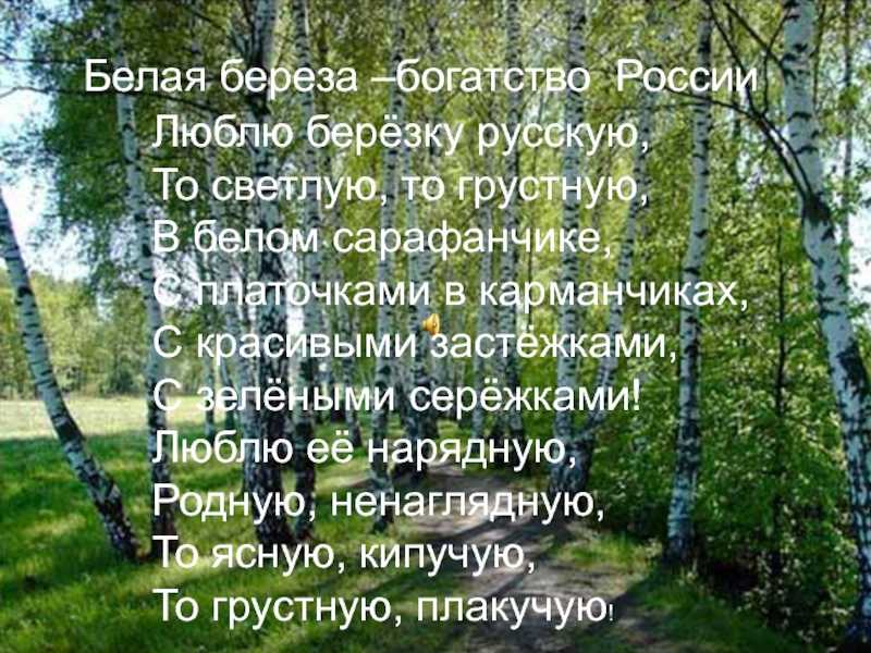 Люблю природу русскую то светлую то грустную