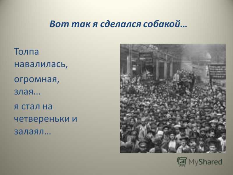 Маяковский как я стал собакой. вот так я сделался собакой владимир маяковский стихи. вот так я сделался собакой