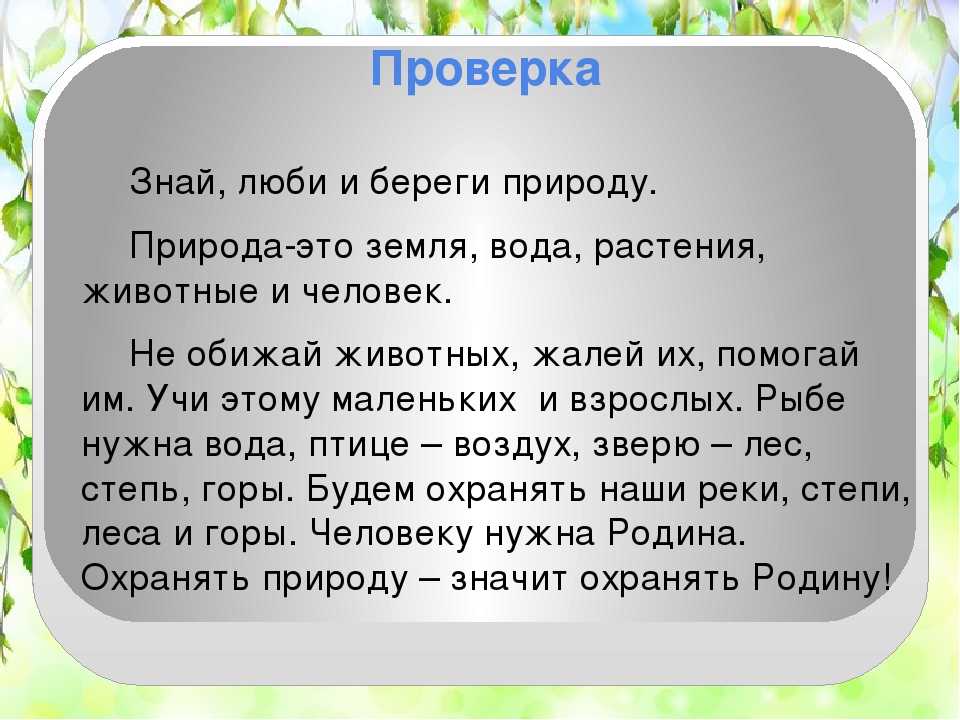 Сочинение-рассуждение о том, как важно беречь природу