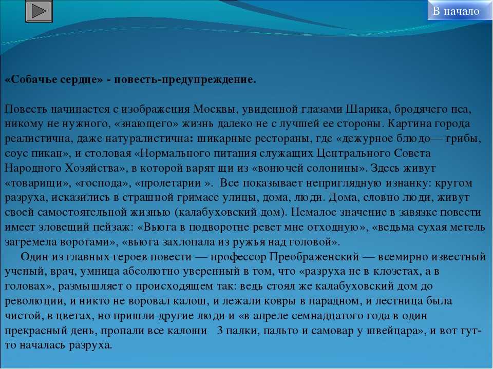 Сердце сочинение. Анализ повести Собачье сердце. Краткий анализ Собачье сердце. Анализ повести Собачье сердце Булгакова. Анализ повести Собачье сердце кратко.