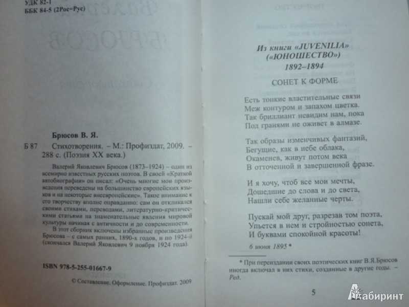 Анализ стихотворения брюсова люблю одно