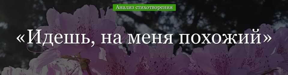 Идешь на меня похожий проблема. краткий анализ стихотворения «идешь на меня похожий» (цветаева марина)