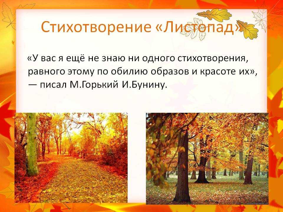 Образ природы в лирике сергея есенина