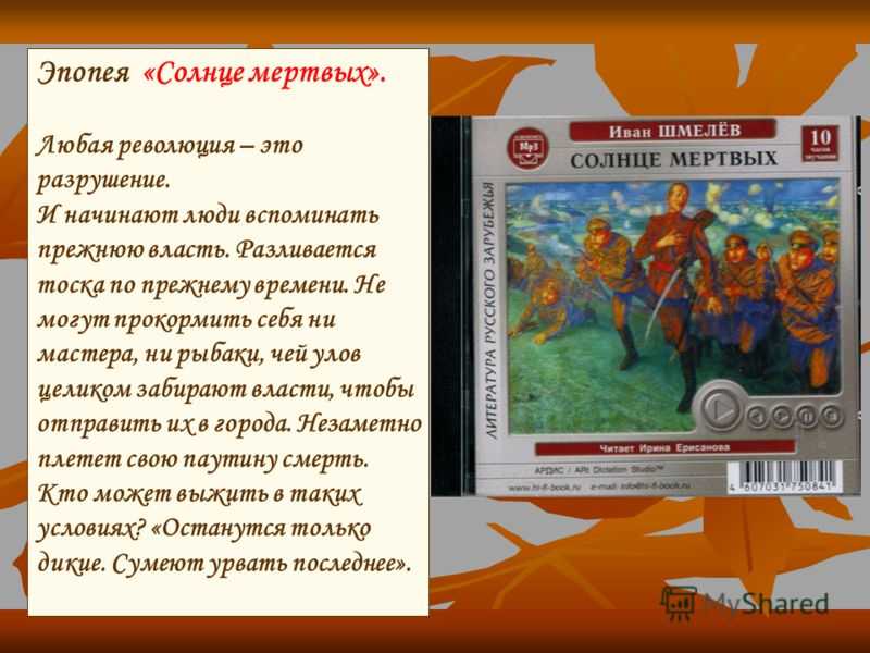 Шмелев солнце мертвых тесты по содержанию. тема разрушения и гибели в тексте эпопеи и.с