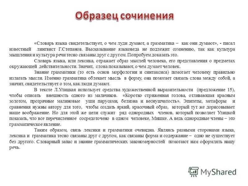 Что такое поведение: понятие, виды. правила поведения. нормы поведения человека в обществе. психология поведения :: syl.ru