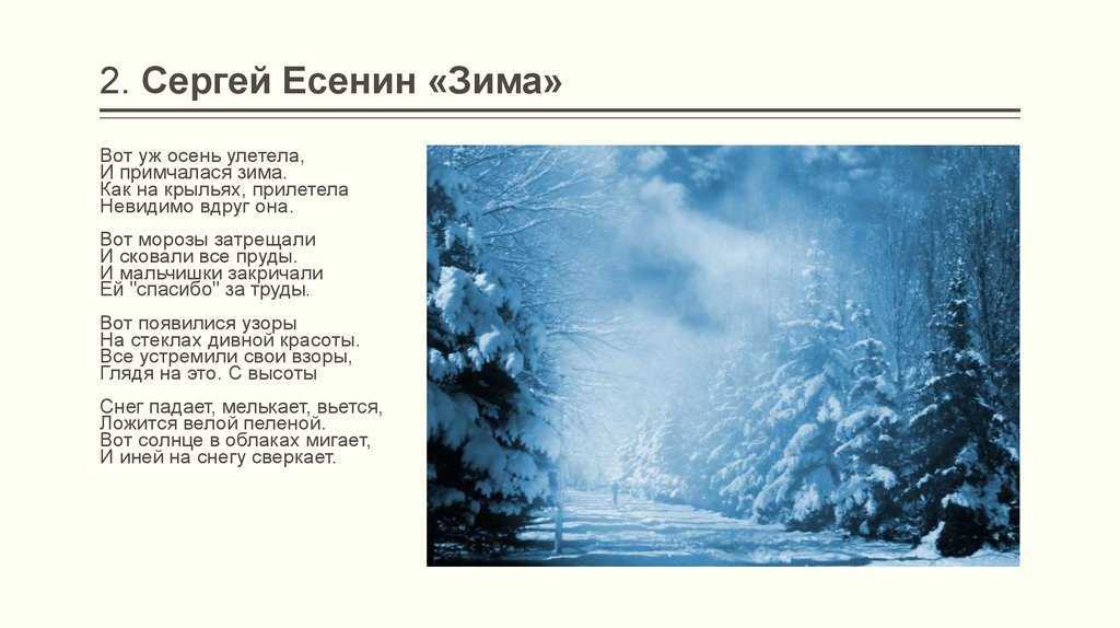 Есенин «ты меня не любишь не жалеешь» – читать текст стиха