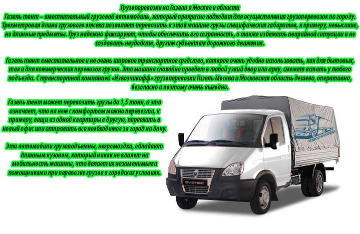 Разбираемся, что такое газель в литературе: история, структура и примеры в поэзии