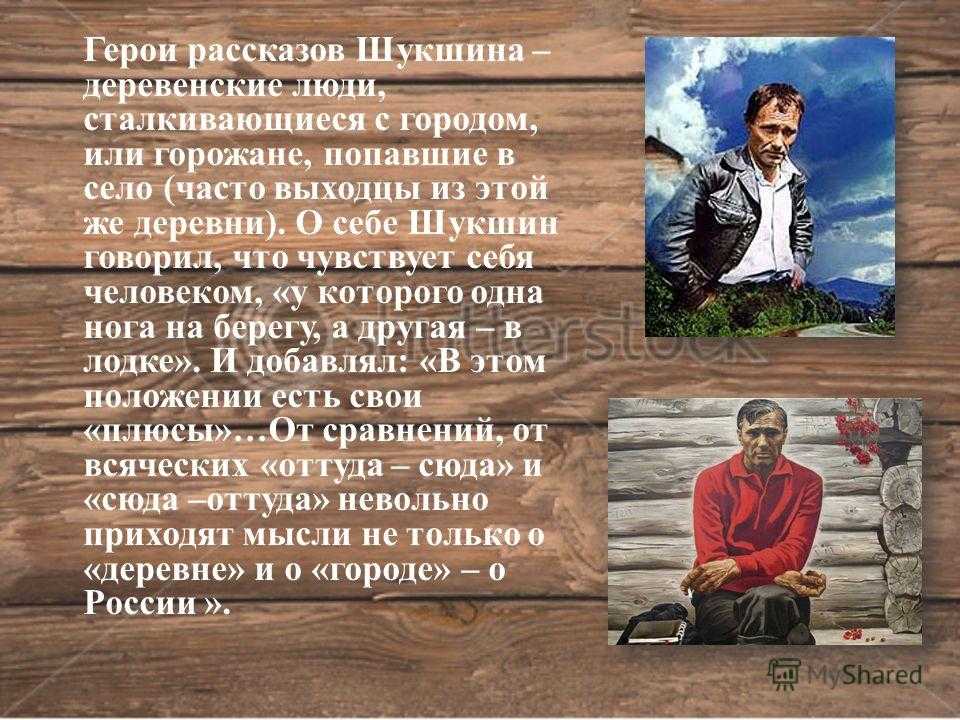 Анализ произведения волки! шукшина