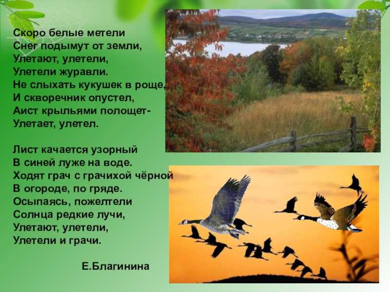 Е благинина улетают улетели конспект урока