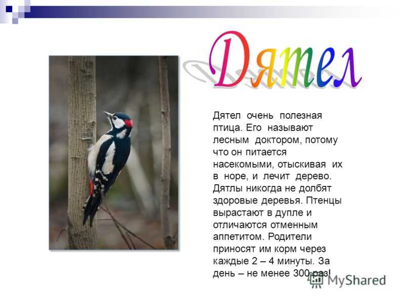 Сочинение: описание картины васильева “мокрый луг”