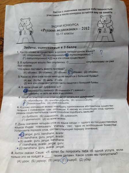 Сочинение описание подруги (7 класс)