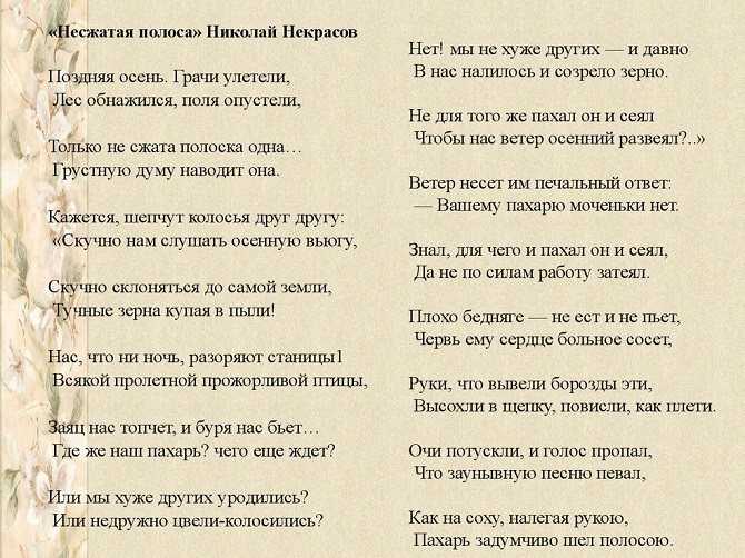 Некрасов «несжатая полоса» - педагог
