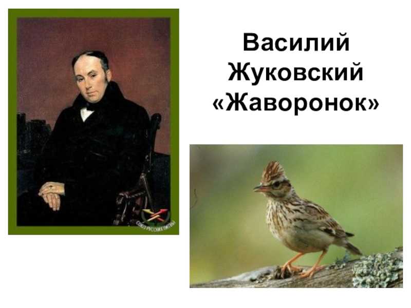 Анализ стихотворения жуковского птичка сочинение