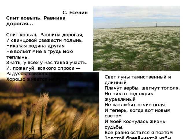 Анализ стихотворения «спит ковыль» с. есенина