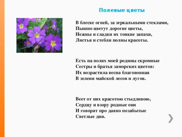 «и цветы, и шмели, и трава, и колосья…». библейские мотивы в русской поэзии [антология]