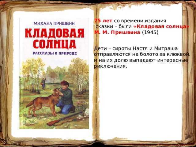 Кладовая солнца анализ. сочинения по темам