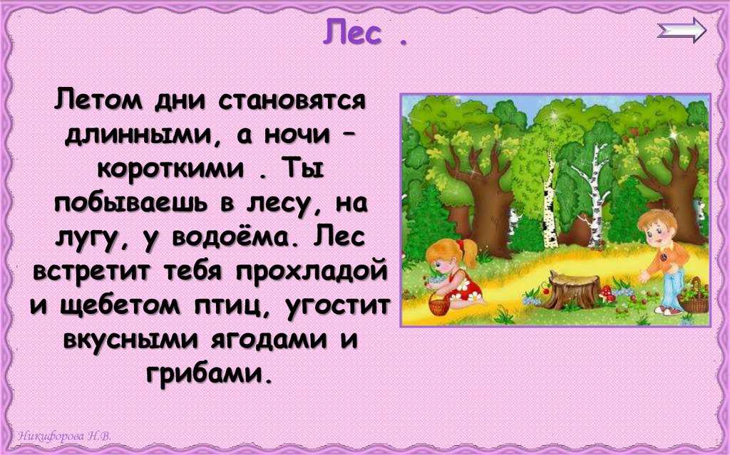 Сочинение на тему лето в лесу (летний лес). все школьные сочинения по литературе рассказ о семейной прогулке в лесу