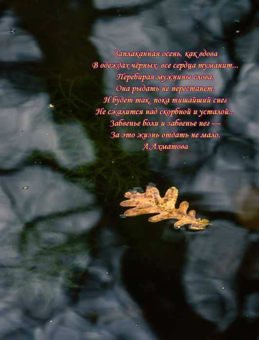 "заплаканная осень, как вдова…", ахматова, анна андреевна — поэзия | творческий портал