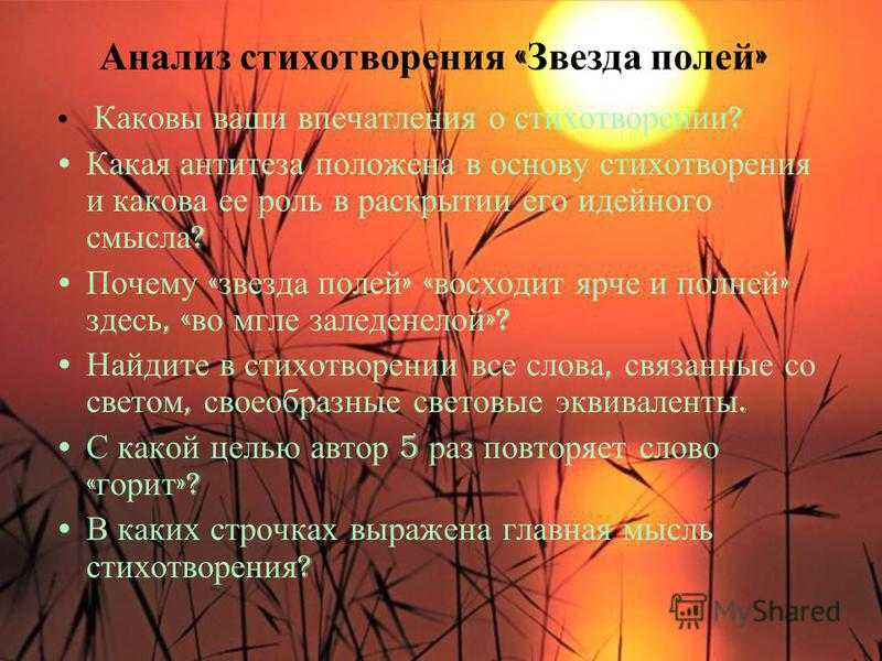 Тема родины в творчестве н.м. рубцова. анализ стихотворения «звезда полей»