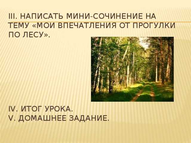 Сочинение на тему лес летом