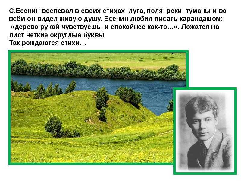 Лучшие стихи сергея есенина