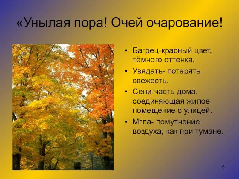 «осень» — анализ стихотворения а. с. пушкина