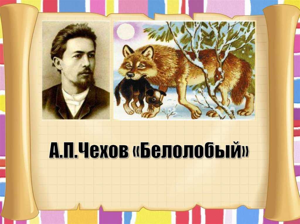 «белолобый» — краткое содержание рассказа а.п. чехова для читательского дневника