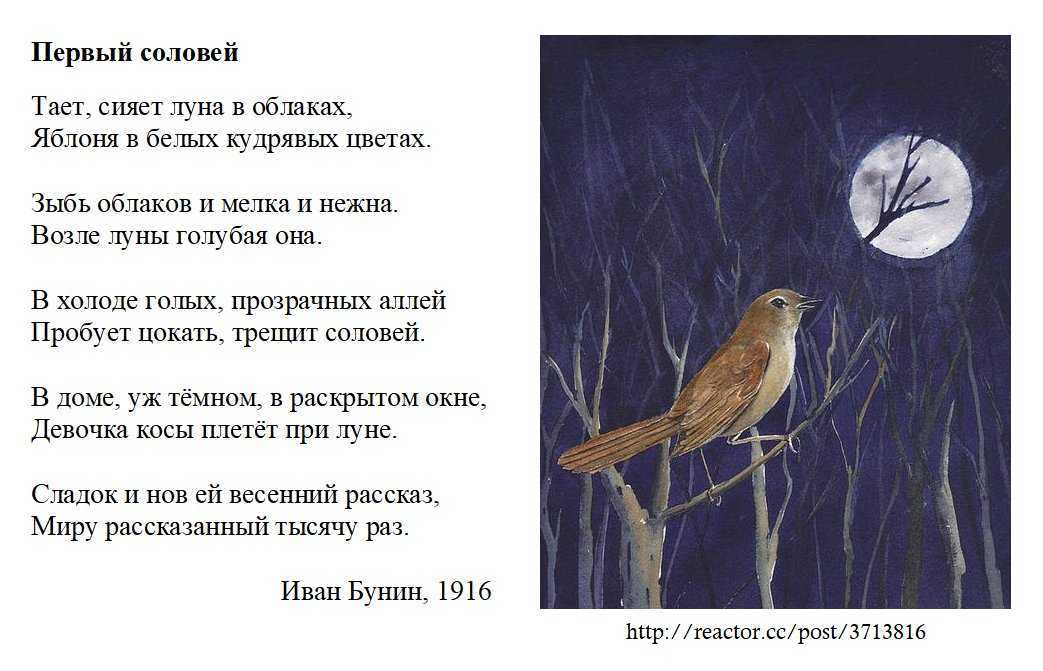 Лингвистический анализ стихотворения на примере произведения с. есенина «запели тесаные дроги…»