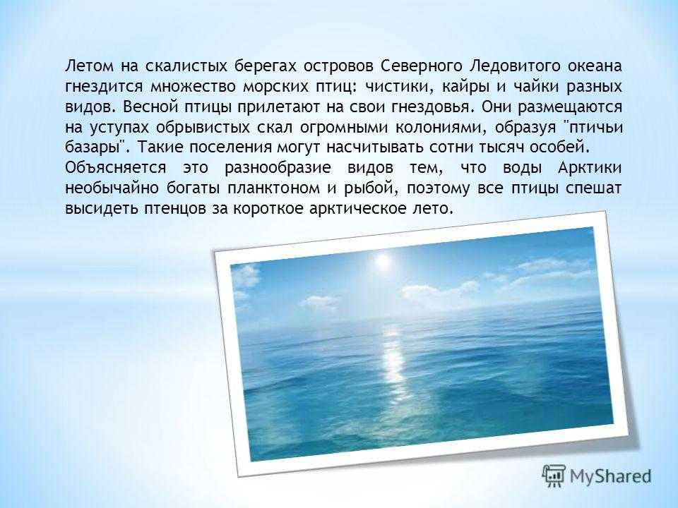 Сочинение я сижу на берегу моря, озера, реки 7 класс