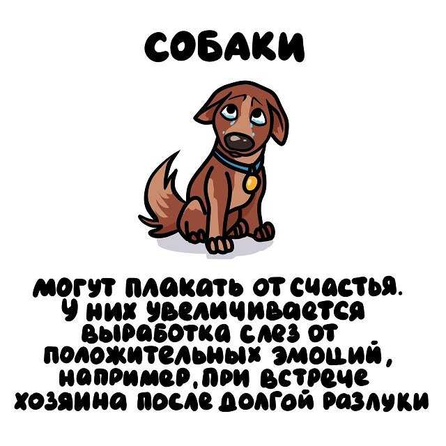 Александр попов