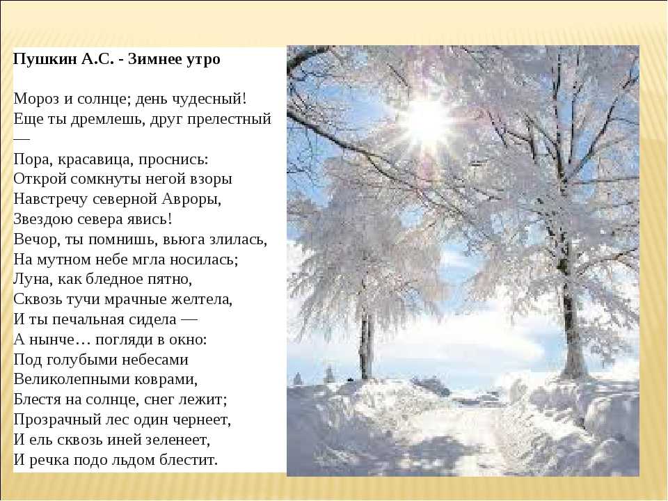 В морозные дни солнце восходит в тяжелом. Зимнее утро стих Пушкина 3 класс.