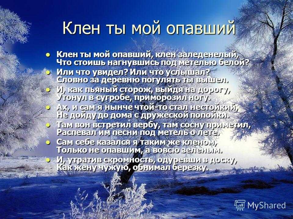 Анализ стихотворения клен ты мой опавший есенина
