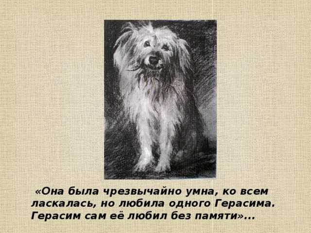 Анализ стиха собака тургеневым