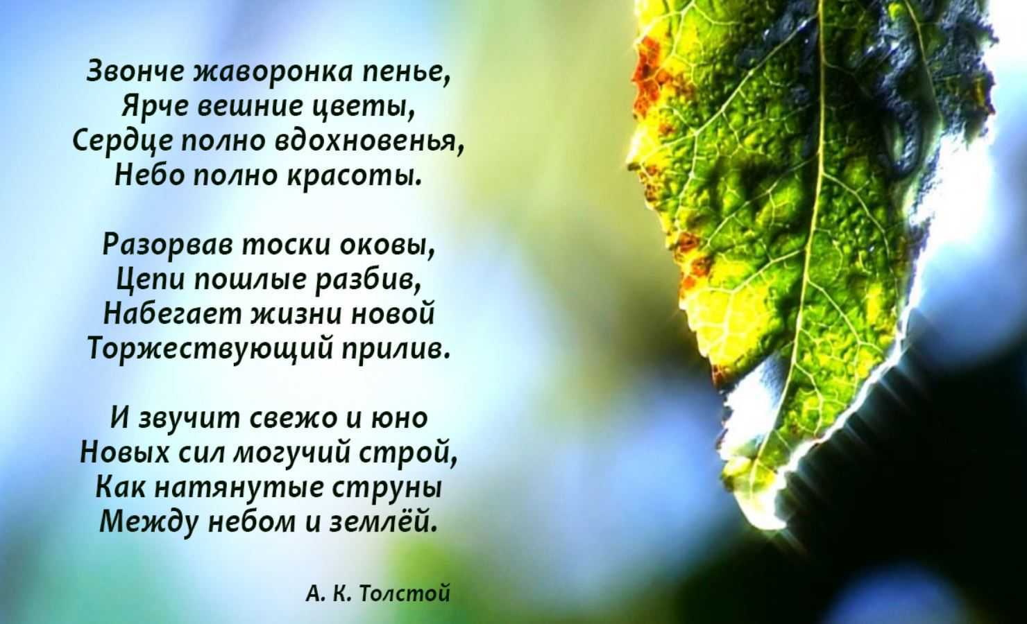 Алексей толстой 📜 звонче жаворонка пенье - читать и слушать стих +заказать анализ