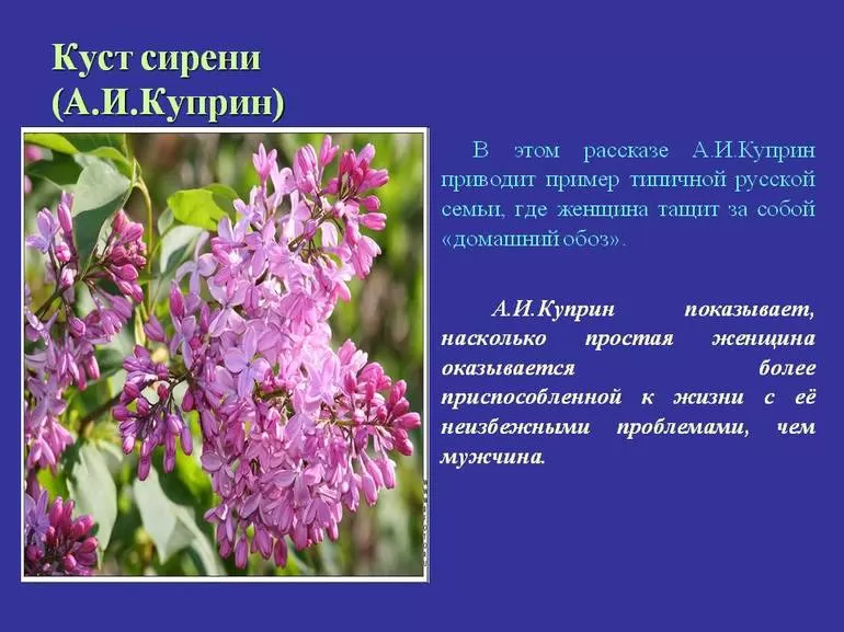 Сочинение по рассказу куст сирени (8, 11 класс)