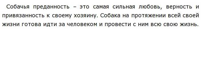 Как понять, кого собака выбрала хозяином или признаки вашего лидерства