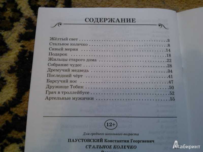 «мещорская сторона», краткое содержание по главам повести паустовского
