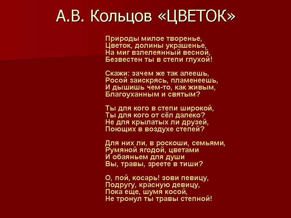 Стихотворение Алексея Кольцова. Стихотворение Кольцого. Кольцов стихи. Стихи Кольцова о природе. Она стояла стихотворение